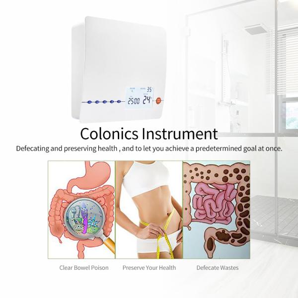 Quality Multi - Functional Body Health Analyzer Colon Hydro - Therapy Procedure 220V for sale
