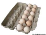 Paper Egg Holder making machinery(FZ-ZMW-3)