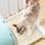 Flushable ODM Cassava Litter Natural Cat Litter Without Dust