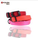C906 Wholesale Usb Rechargeable Led Nylon Webbing Silicone Dog Collar