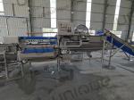 Vegetable Washing Machine 2200 KG for Leafy Greens Cutter and Commercial Fruit