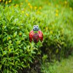 Lighting Insect Solar Garden Ornament Waterproof Plug In Decoration
