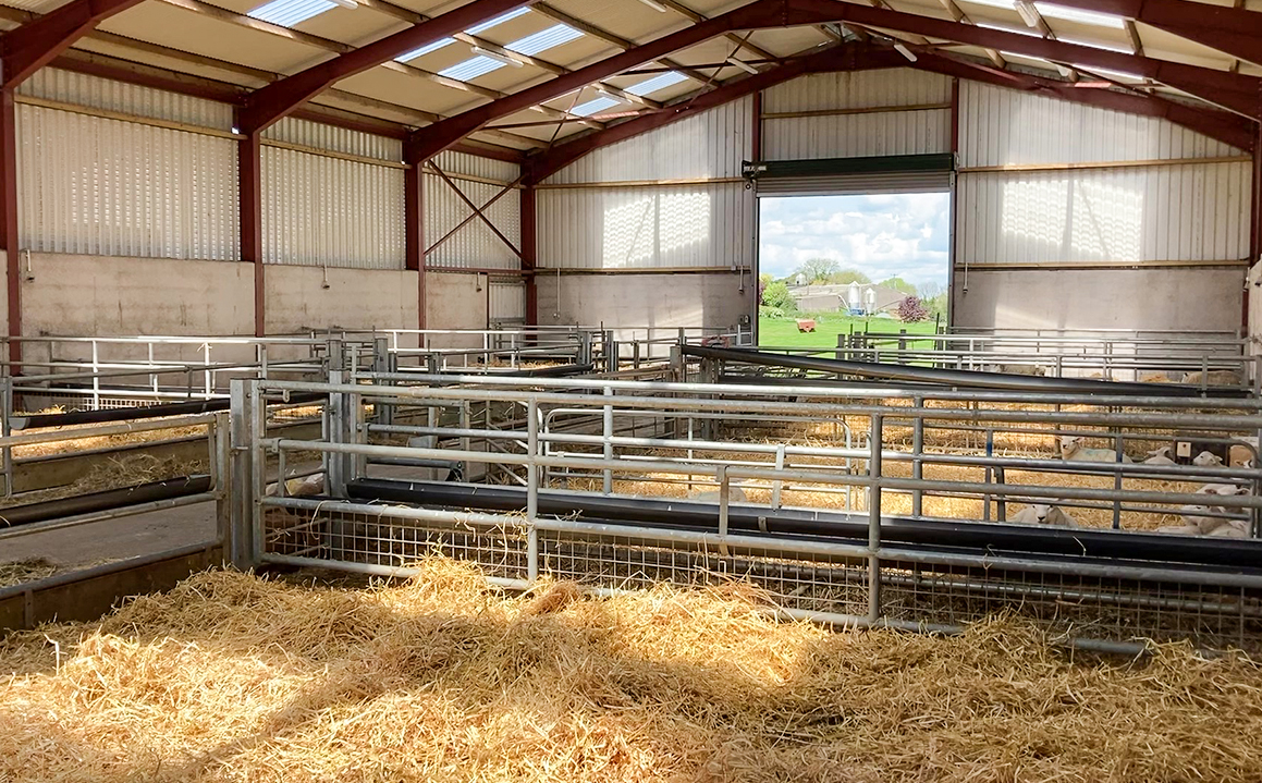Hot Dip Galvanised Steel Cow Goat Horse Arena Cattle Sheep Shed for Poultry Farming