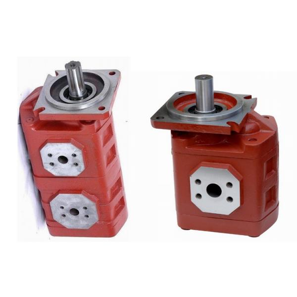 Buy cheap Hydraulic Submersible Water Pump , CBGJ Gear Oil Pumps from wholesalers