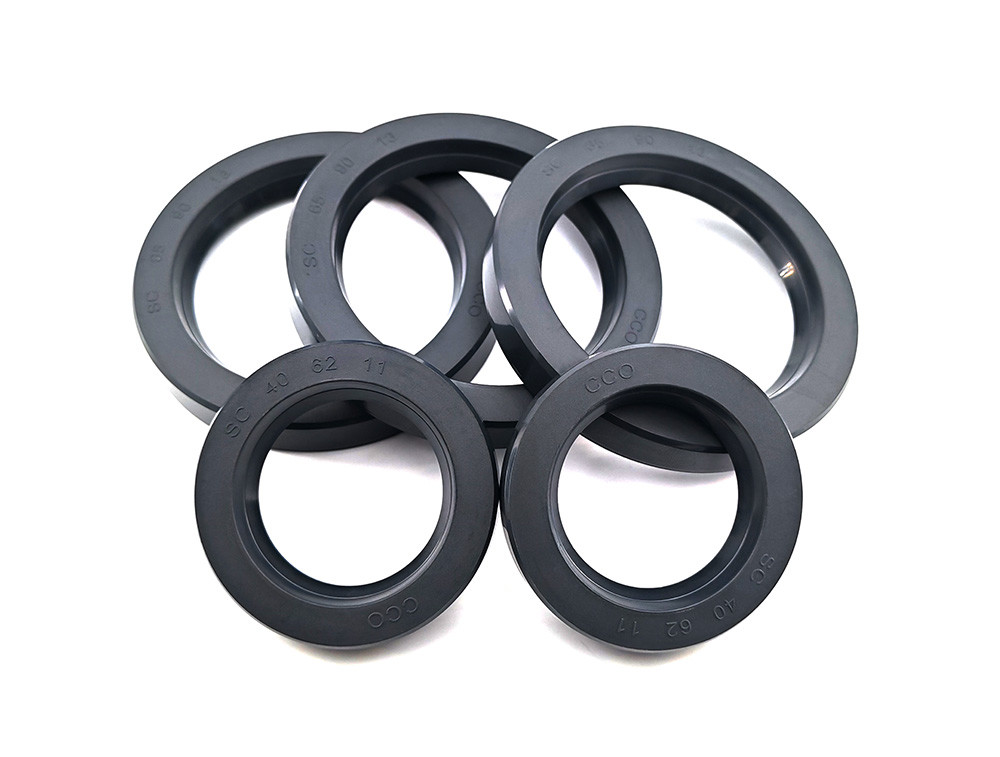 NBR SC Type Oil Seal Air Compressor Oil Seal Automobile Single Lip O Sealer Black And Gray