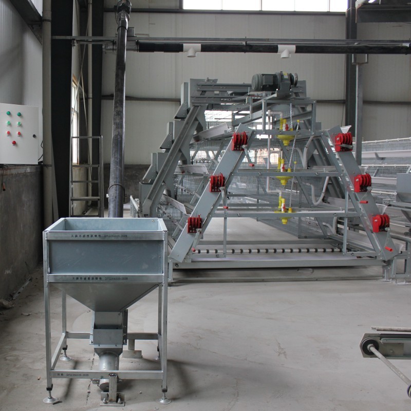 A Type Broiler Chicken Cage System Automatic Chick Breeding Cages 144 Birds