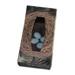 Flat Foldable Magnetic Box