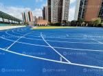 Iaaf Approved 13mm Prefabricated Runway Rubber Running Track for Stadium Tartan