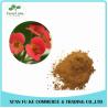 Buy cheap High Quality Crown Of Thorns Extract Powder10:1 20:1 from wholesalers