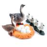 Buy cheap 4 PCS Goose Farm Animal Life Cycle Model Figure Figurine Set Cake Toppers Learning Development Toys For Boys Girls Kids from wholesalers
