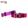 Buy cheap Dog Training Nylon Webbing Collar With Double D Rings Easy Washing from wholesalers