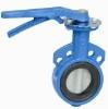 Buy cheap Bray Butterfly Valves Adjustable Tightness 1.0/1.6/2.5Mpa from wholesalers