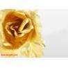 Buy cheap Creative Valentine's day craft Birthday wedding gift 24k gold foil plated rose lover's Gold from wholesalers
