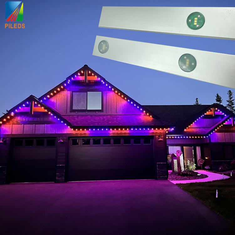 Dc48V LED pixel Point Lights Outdoor Addressable Led Strip Phone Controlled Permanent Lights