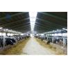 Buy cheap 2-10m Height Steel Structure Cow Shed Prefab Warehouse Building With 48mm Pipe from wholesalers