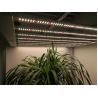 Buy cheap Eight Bars 360nm 1836μMol/S Quantum Board Grow Light from wholesalers