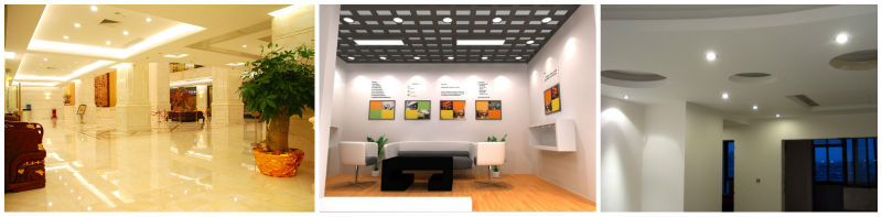 High performance LED Tube supplier
