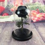 Preserved Rose Flower Box Never Withered Flowers Home Decoration