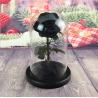 Buy cheap Wholesale Price beauty and the beast roses preserved roses in glass dome from wholesalers
