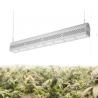 Buy cheap Anti Heavy Moisture Waterproof LED Grow Lights 150 MA 50/60Hz Lightweight from wholesalers
