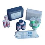 Disposable Absorbent Wound Dressing Gauze Bandage