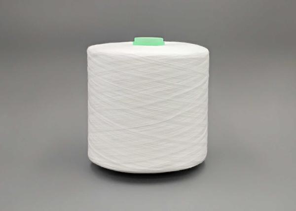Buy cheap Ne 30S/3 Paper Cone Spun Polyester Yarn Eco Friendly Yarn from wholesalers