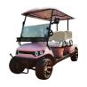 Buy cheap Pink Color 60V 4KW AC System EV Golf Cart New Energy Off Road Electric Golf Cart from wholesalers