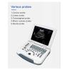 Buy cheap Multilingual USB Port Color Doppler Ultrasound Scanner PRF Adjustable from wholesalers