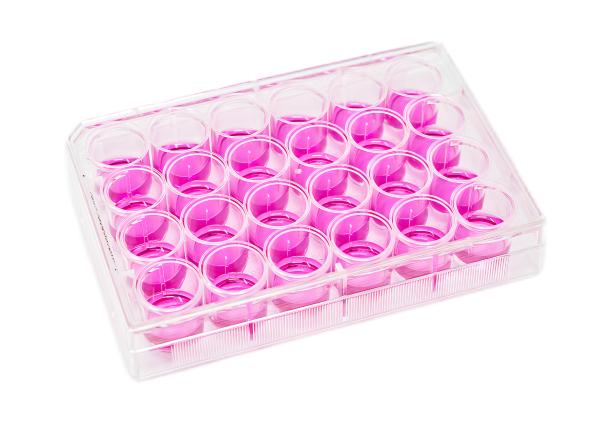 Buy cheap Disposable Transparent Polystyrene 6 Well Bacterial Cell Culture Plate Flat Bottom from wholesalers