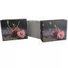 Buy cheap ROYAL Packing Fruit Packaging Boxes Luxury Corrugated With Bags from wholesalers