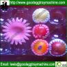 Buy cheap PE fruit pan cap product from wholesalers