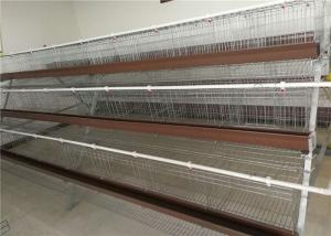 China Electric Galvanized 128 Chickens Poultry Cage For Laying Hens , Battery Caged Hens on sale