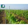 Buy cheap 1.5mm 2.0mm 50x40mm Metal Vineyard Trellis Posts With H Holes from wholesalers