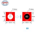 Irreversible Thermometers Temperature Measuring Point