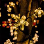 EMC Solar Powered Flower Garden Lights 6W Outdoor Waterproof