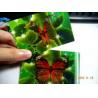 Buy cheap PLASTIC LENTICULAR flip effect pvc 3D Lenticular Card/3D Lenticular Card Printing from wholesalers