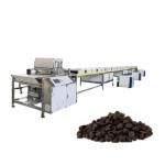 80kg/H Servo Motor 1000mm Chocolate Chip Making Machine