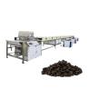 Buy cheap Vermicelli Depositor 304SS Chocolate Chip Making Machine from wholesalers