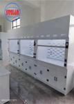 Wall Mounted Chemical Fume Hood Lab Perchloric Acid Fume Hoods with 400m3/h