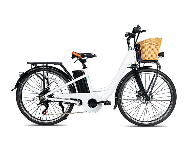 26 Inch 36V 250W Rear Hub Electric Bike With Front Disc Rear Disc Brake