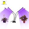 Buy cheap USB Plug Aluminum PVC Led Plant Full Spectrum Phyto Lamp from wholesalers
