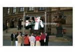 S-VIDEO HDMI DVI Outdoor LED Screen Rental PH12 DIP346 With Waterproof Aluminum