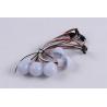 Buy cheap Miracle Bean Newly Developed Product 1W DC12V LED Amusement Lamp from wholesalers