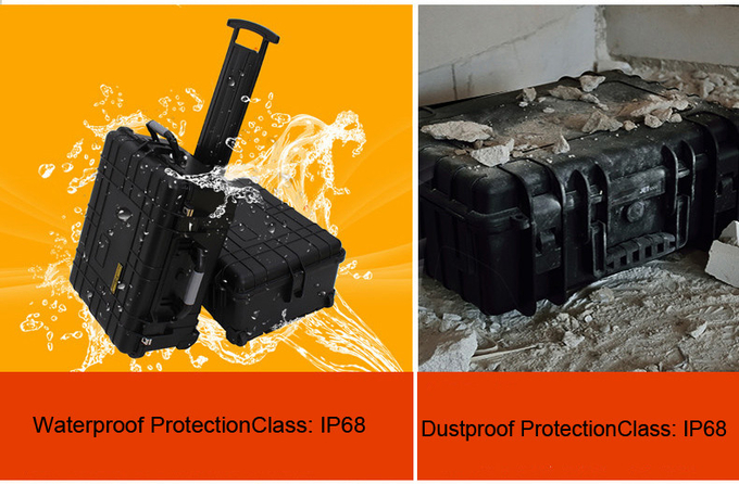 Custom Plastic Gun Case 295 X 215 X 63mm