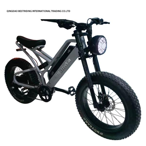Buy cheap Mechanical Disc Brake Electric Bike 48v 500w Motor Ebike 2 Wheel 20 Inch Fat Tire from wholesalers