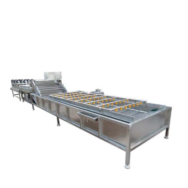 Buy cheap Industrial Fruit Vegetable Processing Machine Automatic 400KG 300-1000kg/h from wholesalers