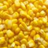 Buy cheap FDA Certified IQF Frozen Vegetables/ Frozen Whole Kernel Sweet Corn For Supermarkets from wholesalers