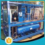CO2 Supermarket Refrigeration Systems , Screw Compressor Rack Refrigeration