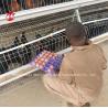 Buy cheap 1 Layer 2.8mm Battery Cage System For Layers In Africa Star from wholesalers
