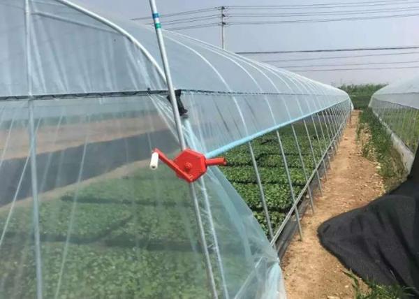 Plastic Polyethylene Film Greenhouse , Hydroponic Greenhouse For Vegetable